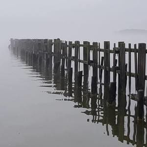 Meet your Posher, Mitchel